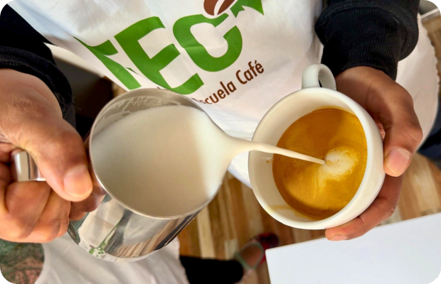 Diseño sin título (16)